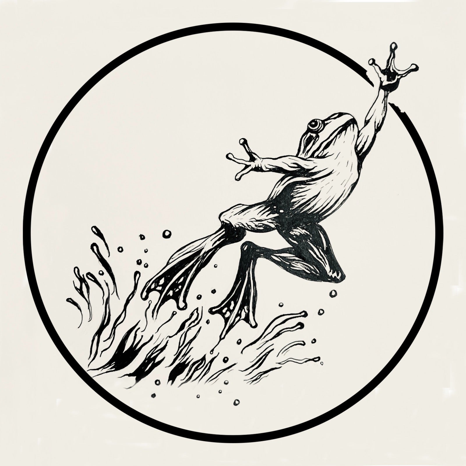 Frog leaping artwork – Zero Ground Citizen by Sarmed Mirza